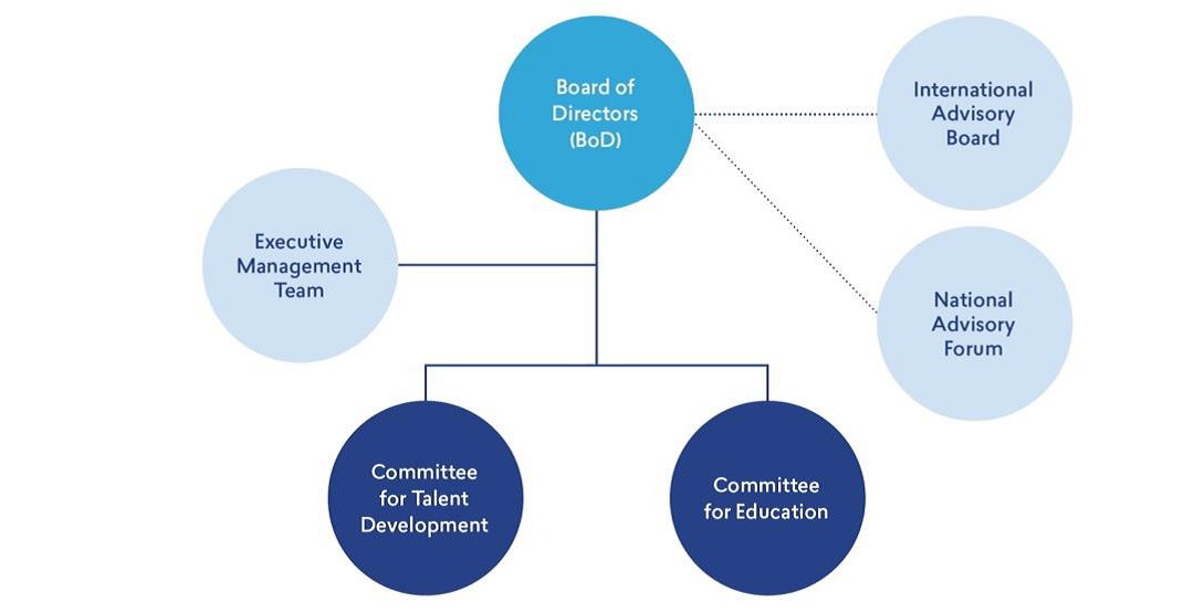 Danish Diabetes Academy organisational structure 