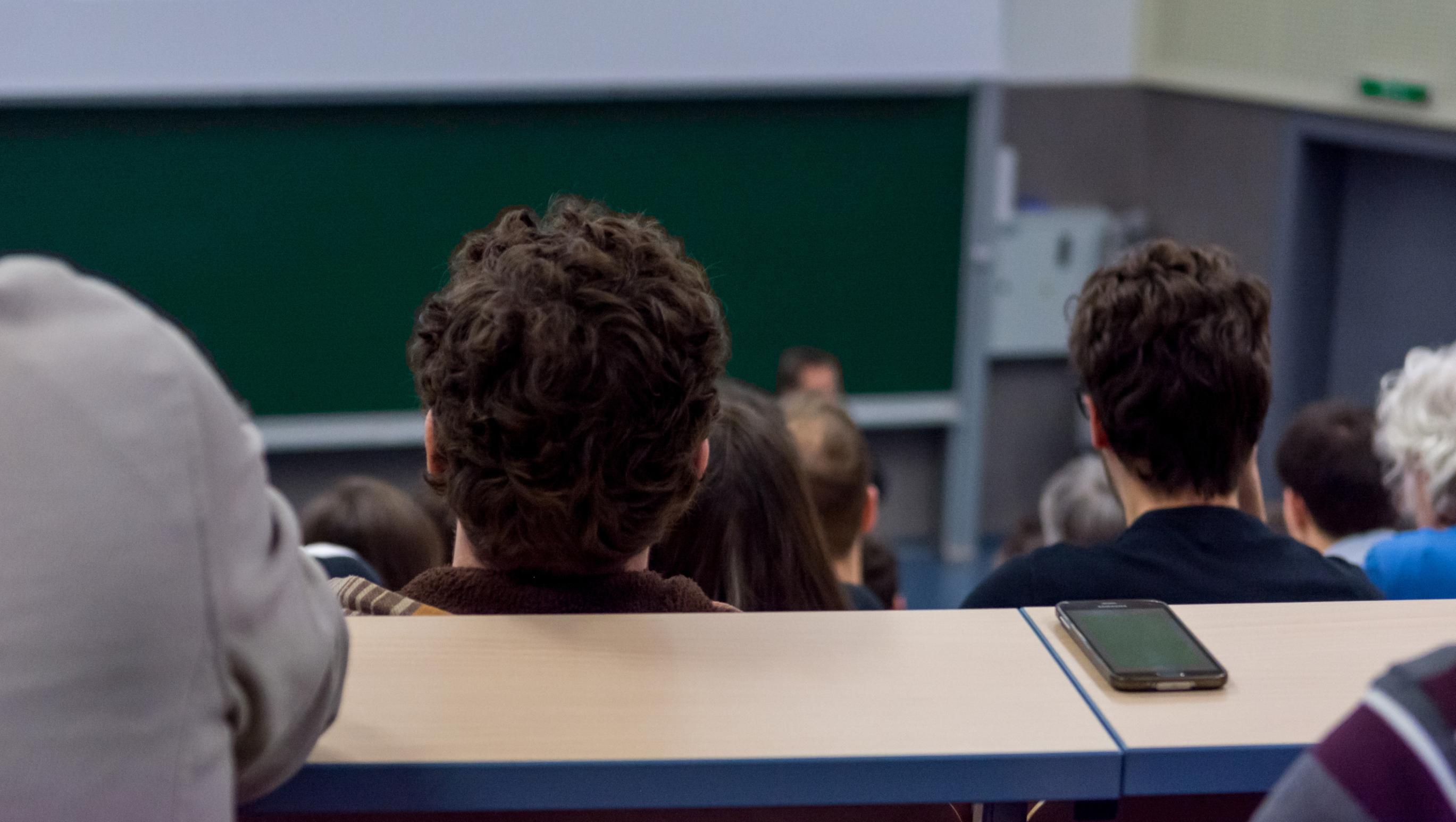 Workshop: The human placenta in diabetes and obesity (diabesity) - 