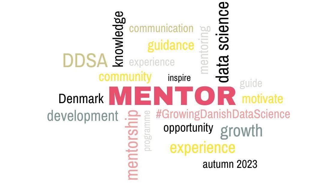 Join the Danish Data Science Academy Mentoring Programme - 