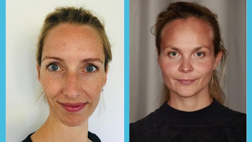 Two national young experts with a review in a high impact journal - 