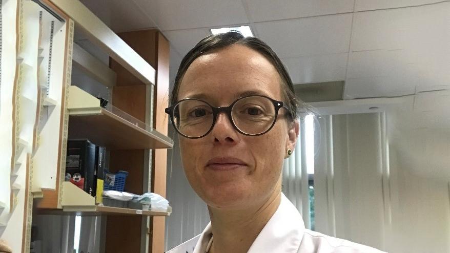 Seven Questions for a DDA-funded Researcher: Line Bisgaard - 