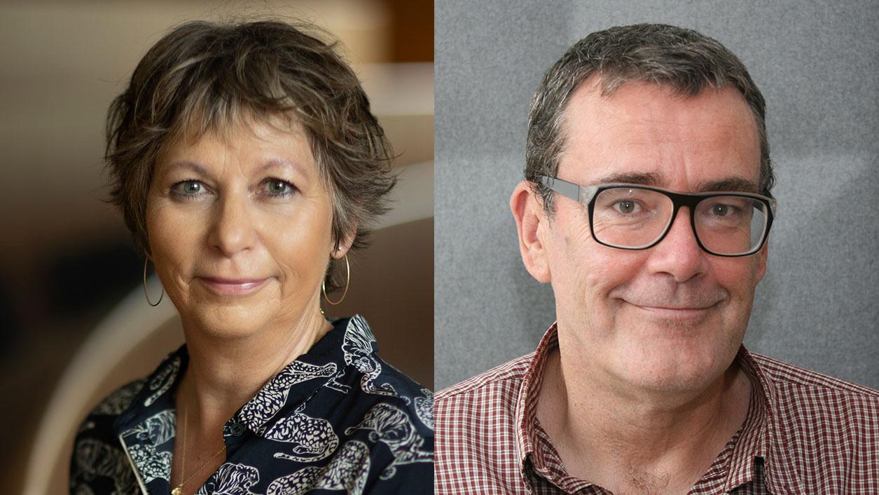 Special Issue of Diabetic Medicine Inspired by DDA Webinar - 