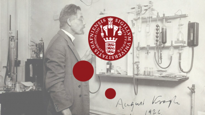 August Krogh Mini-Symposium on Regulatory Mechanisms in Muscle Metabolism - 